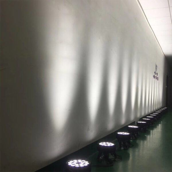 Waterproof LED Par Light