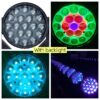 19x15W LED Zoom Wash Moving Head Light