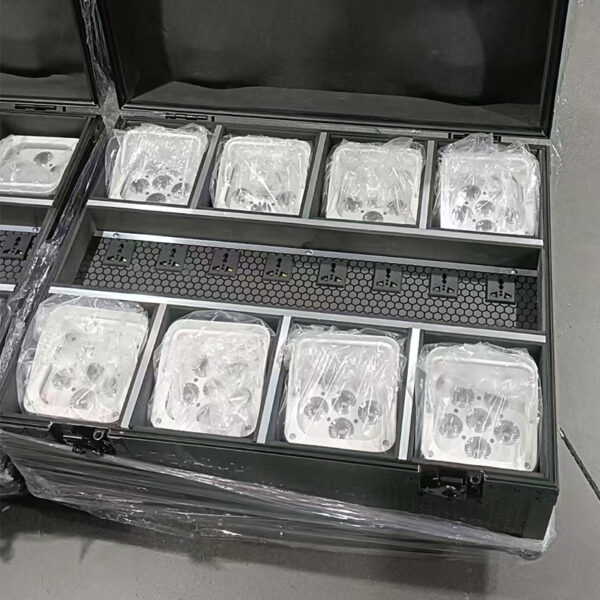 LED Battery Par Light