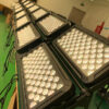 IP65 City Color Flood Light