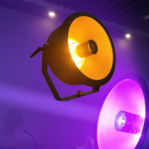 Waterproof 60W Omni Retro stage Light